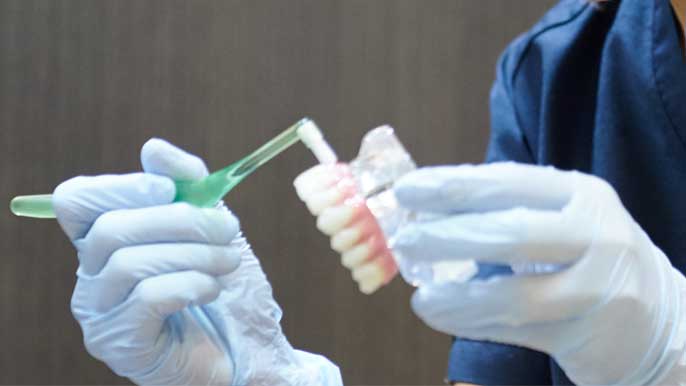 ワンタフトブラシと歯の模型を使ってインプラント後のブラッシングを教えてる女性歯科衛生士